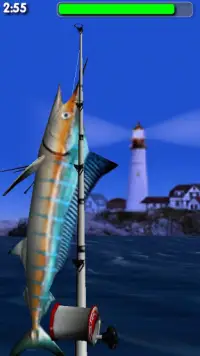 Big Sport Fishing 3D Lite Screen Shot 1