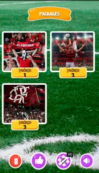 Jogo do Flamengo Quebra-cabeça Screen Shot 2