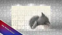 Jigsaw Puzzle Cats for Kids Screen Shot 1