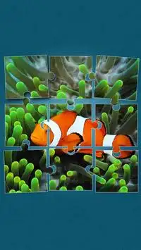 Sea Life Jigsaw Puzzles Screen Shot 10