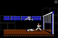 Karateka Classic Screen Shot 3