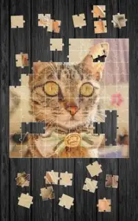 Gatti Carini Giochi di Puzzle Screen Shot 5