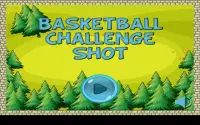 Basketball Challenge Shot Screen Shot 8