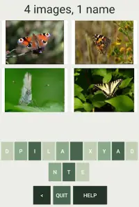 Quiz : What Butterfly Are You ? Screen Shot 2