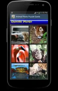 Animal Photo Puzzle Game Screen Shot 1
