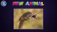 Simulador Morph Animal Screen Shot 2