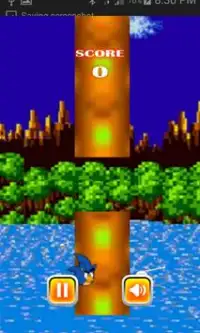 Flappy Angry Sonic Bird Screen Shot 1