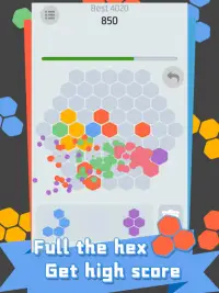 Hex Puzzle - Super fun Screen Shot 1