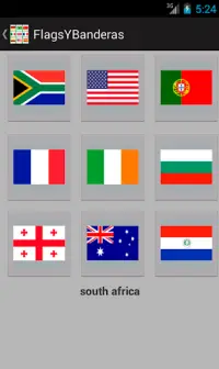 Identify Flags Screen Shot 1
