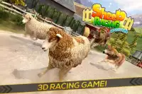 Sheep Racing Adventure Game 3D Screen Shot 0