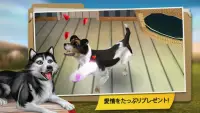 Dog Hotel プレミアム – 可愛い犬たちと遊ぼう Screen Shot 2