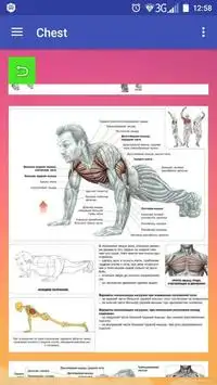 All exercises for all muscles Screen Shot 2