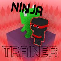Ninja Training Games