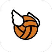 Flappy Dunk - Basketball!