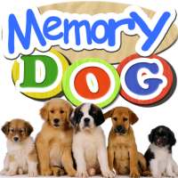 Memory Dog