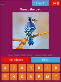 Birds Quiz - Learn All Birds! Screen Shot 6