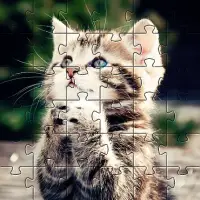 Cute cats app jigsaw puzzles Screen Shot 2