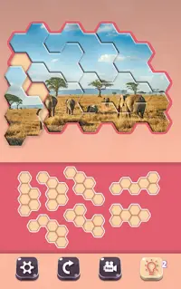 Block hexa puzzle - Animals Jigsaw Screen Shot 8