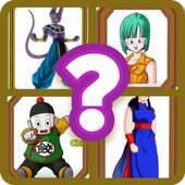 Guess Dragon Ball Super charachters