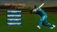 T20 Cricket Cup Screen Shot 0