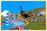 anjing stunts sim 3D Screen Shot 16