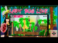 Lady Bug live Screen Shot 0