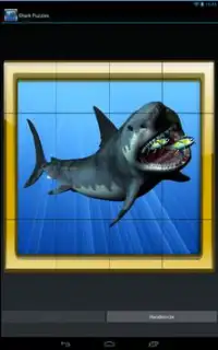 Shark Puzzles Screen Shot 1