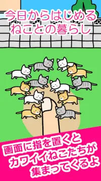 ねことあそぶ - 癒しのにゃんこ育成ゲーム Screen Shot 1