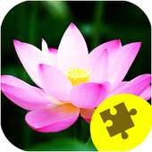 Imagens Flowers Jigsaw Puzzles
