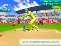 Cricket 2019 : Real World Cup Screen Shot 1