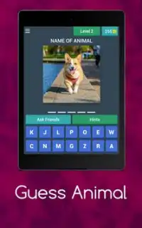 Animals Quiz Screen Shot 9