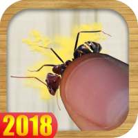 Ant Smasher – Tap Smash Ants & Bugs