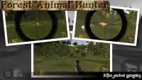 Wild Animal Hunting 3D Screen Shot 3
