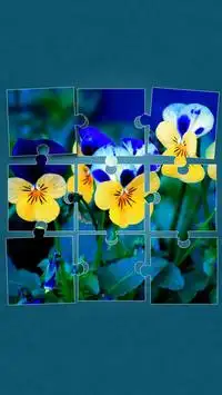 Flowers Puzzle Game Screen Shot 0