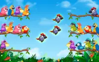 Bird Sort: Color Puzzle Game Screen Shot 16