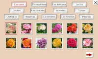 Devinez le Fleur: Puzzle de Tuiles Screen Shot 1