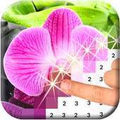 Color by Number: Flowers Pixel Art Game