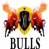 11 Bulls - Free Fantasy Cricket Game