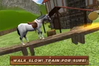 War Horse Simulator Training Screen Shot 4