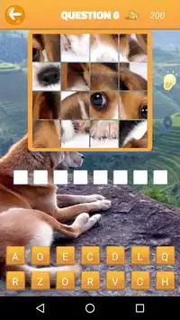 Find Puzzle Screen Shot 2