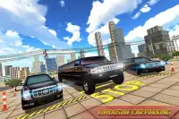 Limo Taxi Car Driving Simulator : Public Transport Screen Shot 6