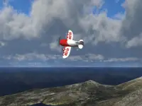 PicaSim: Flight simulator Screen Shot 19
