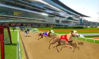Ultimate Dog Racing Screen Shot 1