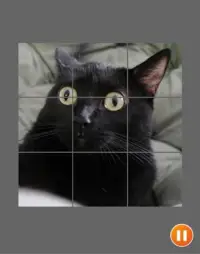 Cat Face Puzzle Screen Shot 4