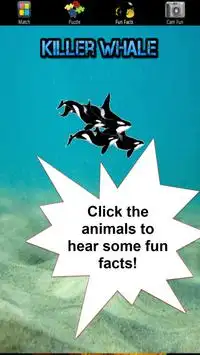 Sea Life Games & Fun Facts Screen Shot 7