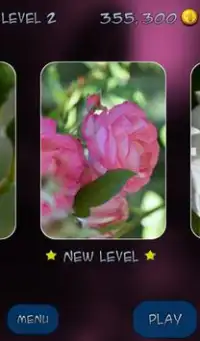 Hidden Mahjong: Summer Roses Screen Shot 1