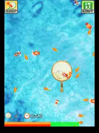 Shin Goldfish Scooping Screen Shot 5