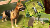 Life of a Dog : Survival Story Screen Shot 11