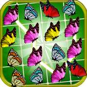 リンク蝶の一致
