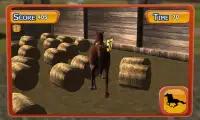 Permainan Wild Horse Simulator Screen Shot 4